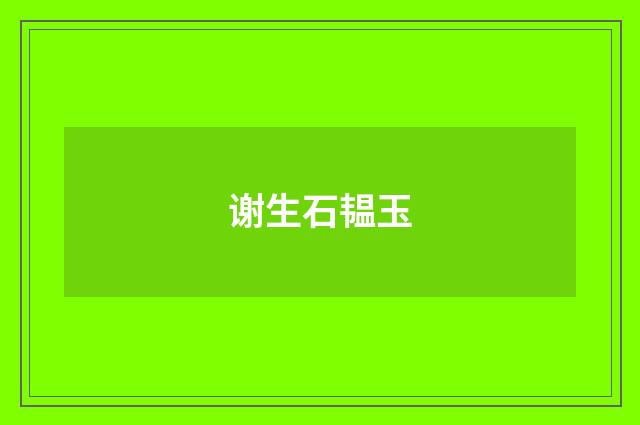 谢生石韫玉