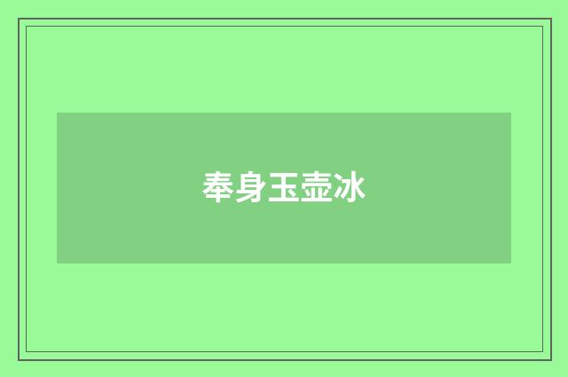 奉身玉壶冰