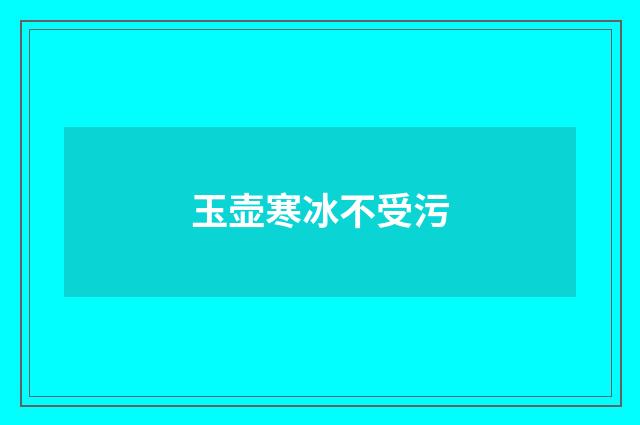 玉壶寒冰不受污