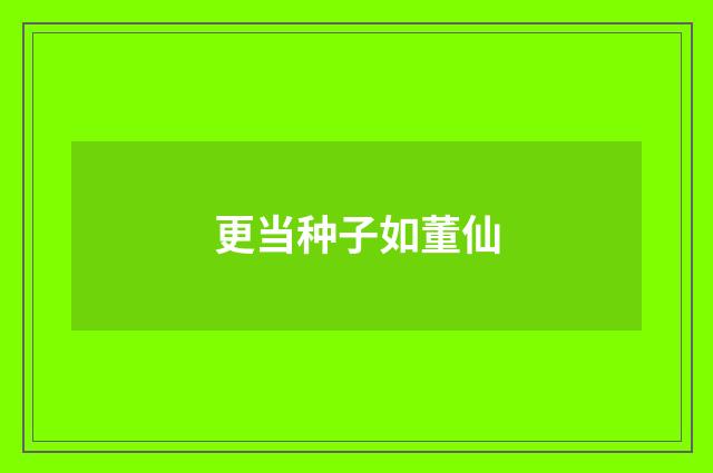更当种子如董仙
