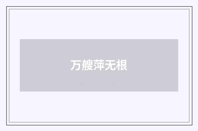 万艘萍无根
