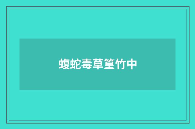 蝮蛇毒草篁竹中