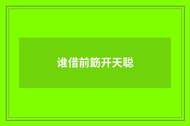 谁借前筯开天聪