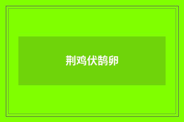 荆鸡伏鹄卵