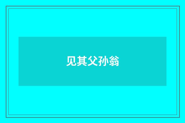 见其父孙翁