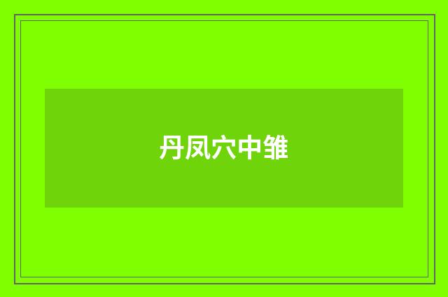 丹凤穴中雏