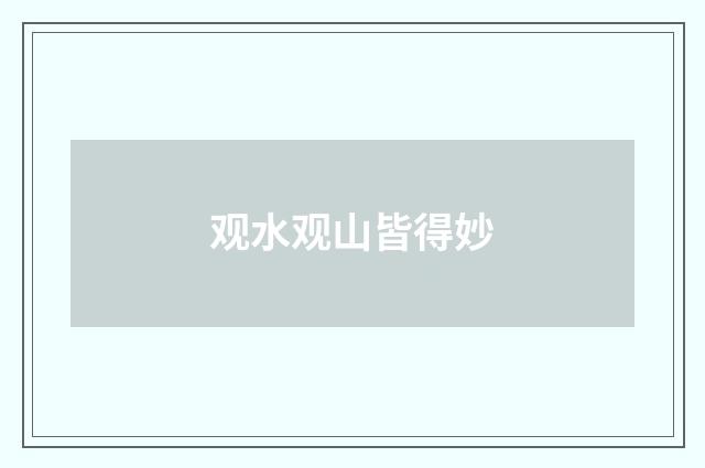 观水观山皆得妙