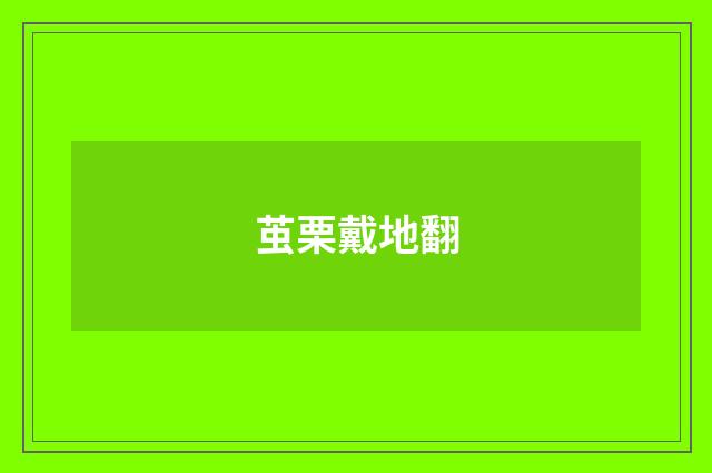 茧栗戴地翻