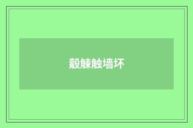 觳觫触墙坏