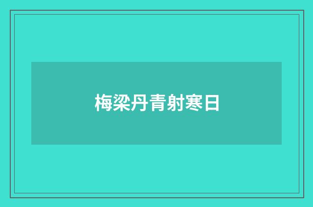 梅梁丹青射寒日