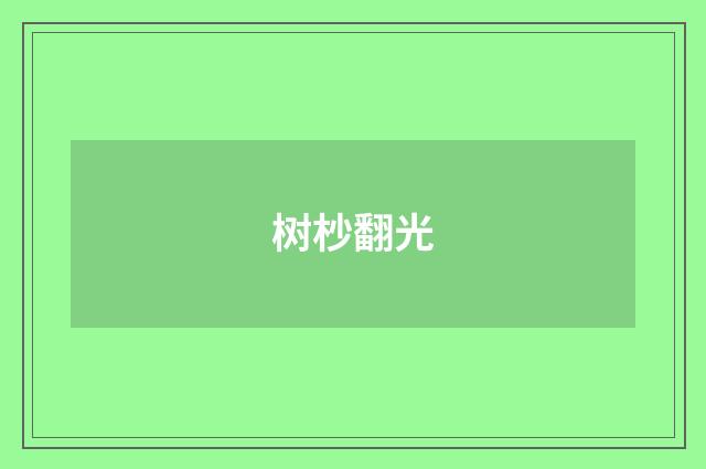 树杪翻光