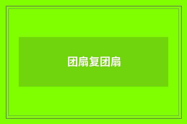团扇复团扇