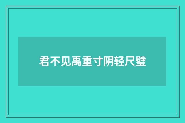 君不见禹重寸阴轻尺璧