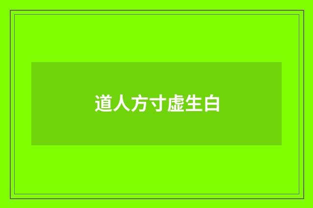 道人方寸虚生白