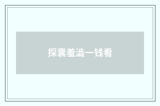 探囊羞澁一钱看