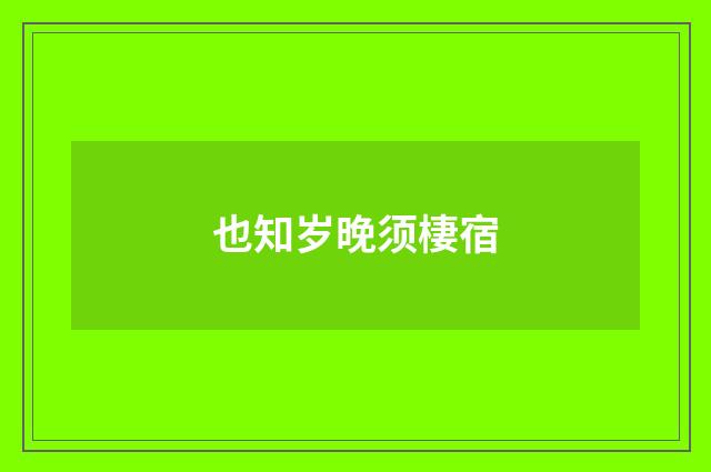 也知岁晚须棲宿
