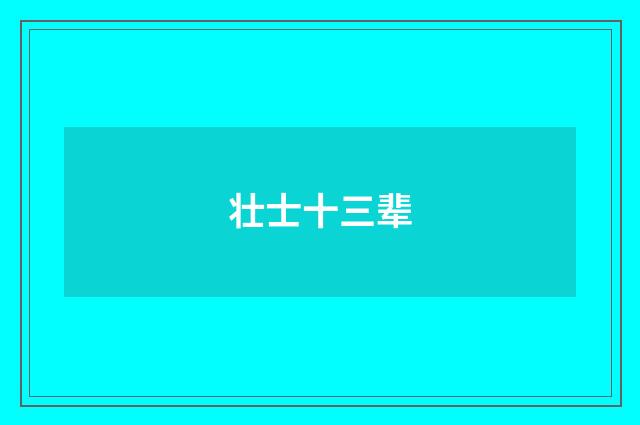 壮士十三辈