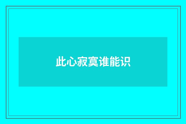此心寂寞谁能识