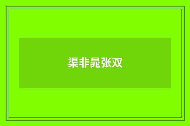 渠非晁张双