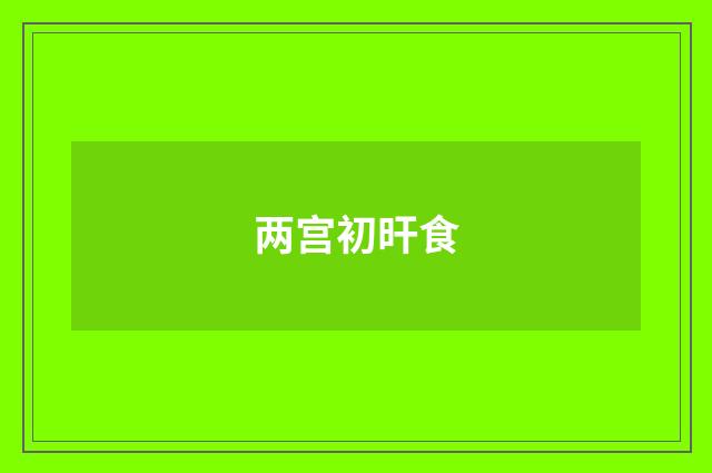 两宫初旰食