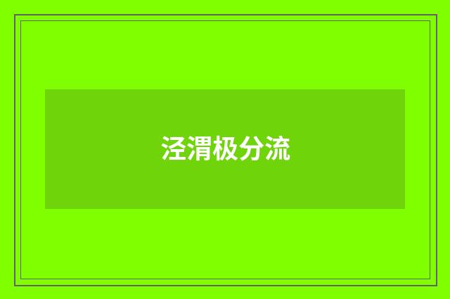 泾渭极分流