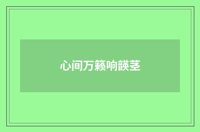 心间万籁响韺茎
