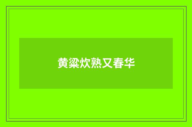 黄粱炊熟又春华