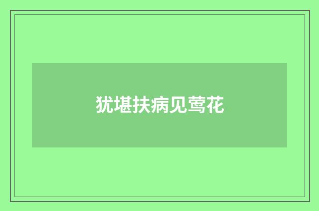 犹堪扶病见莺花