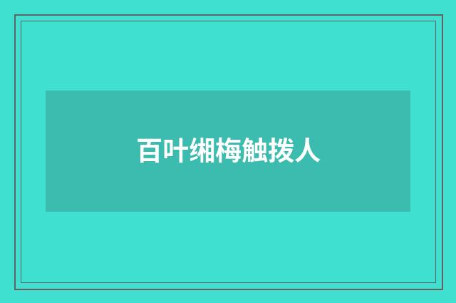 百叶缃梅触拨人