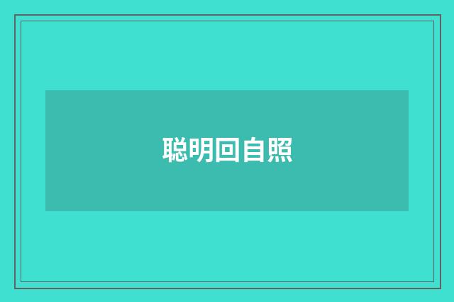 聪明回自照