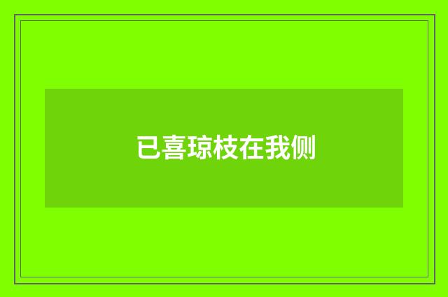 已喜琼枝在我侧