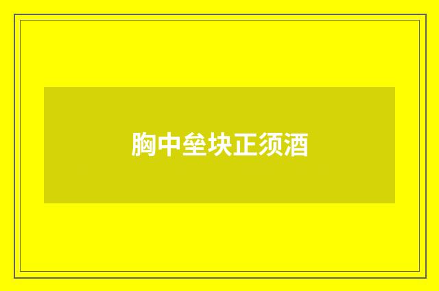 胸中垒块正须酒