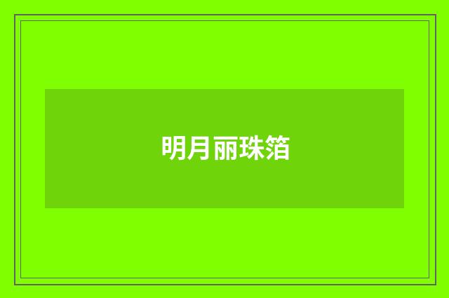 明月丽珠箔