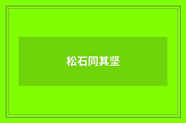 松石同其坚