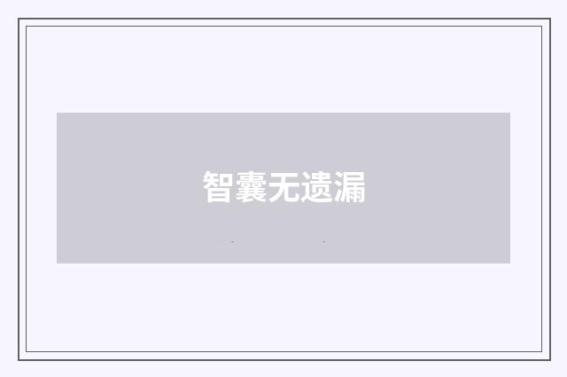 智囊无遗漏
