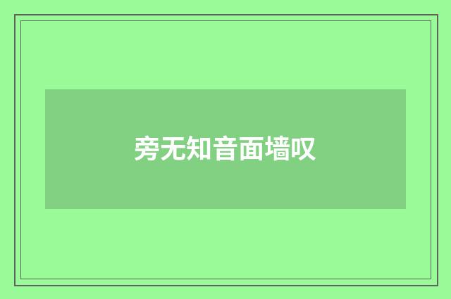 旁无知音面墙叹