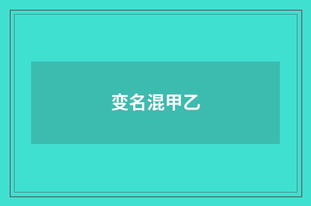 变名混甲乙