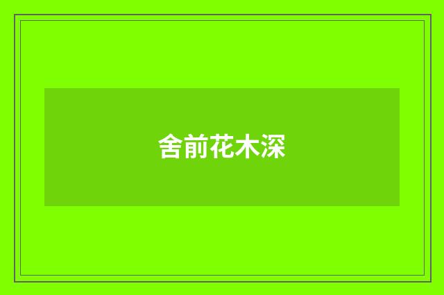 舍前花木深