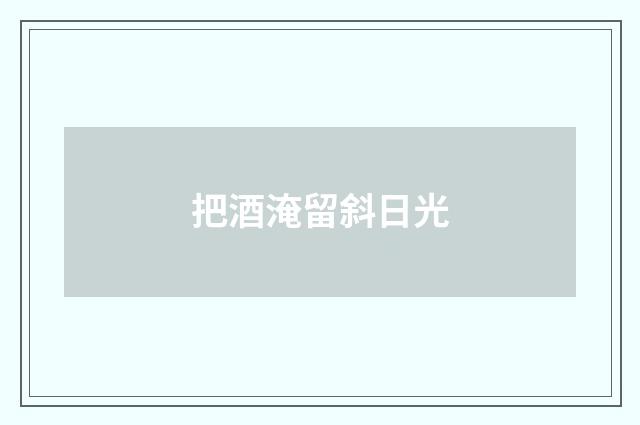 把酒淹留斜日光
