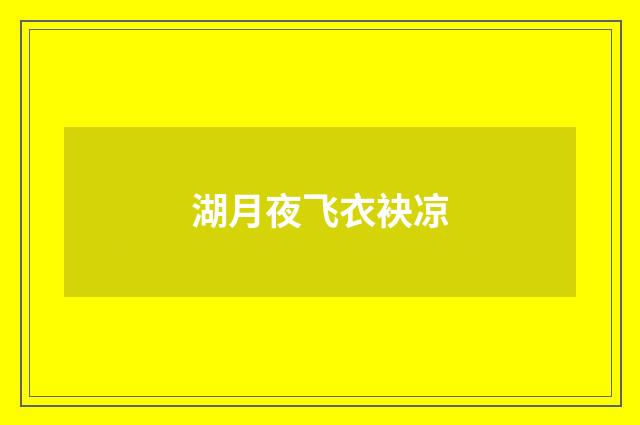 湖月夜飞衣袂凉