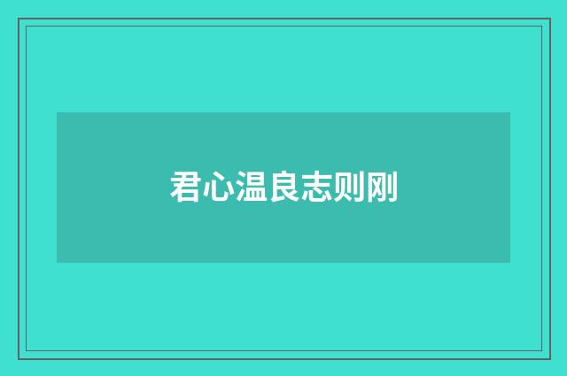 君心温良志则刚