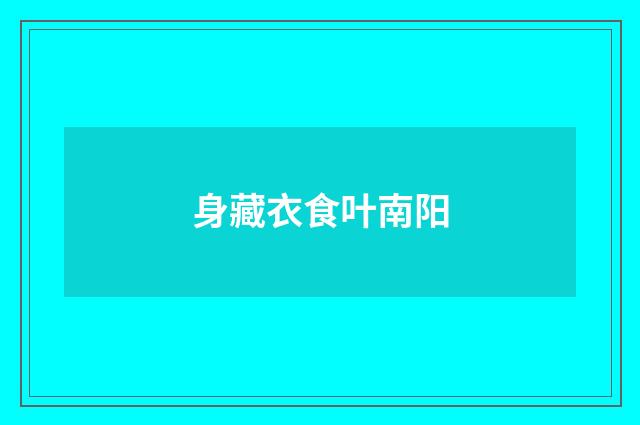 身藏衣食叶南阳