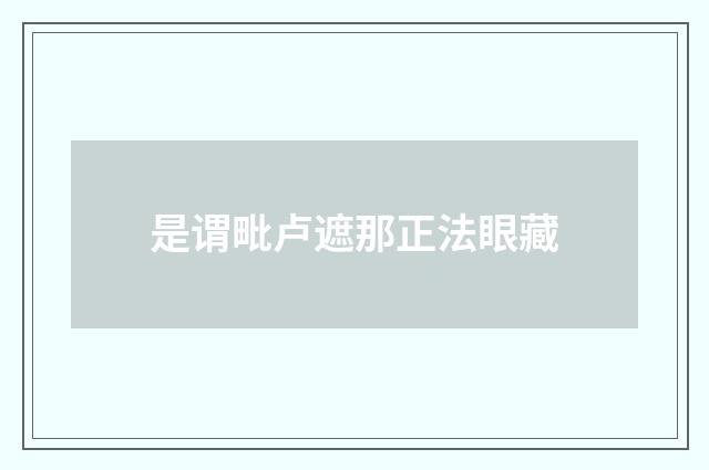 是谓毗卢遮那正法眼藏