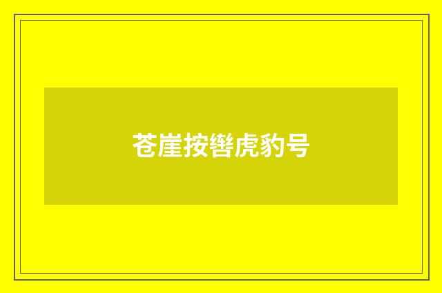 苍崖按辔虎豹号