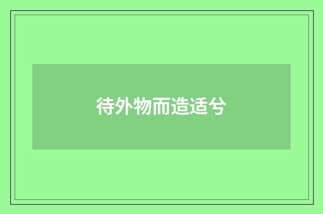 待外物而造适兮
