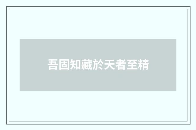 吾固知藏於天者至精