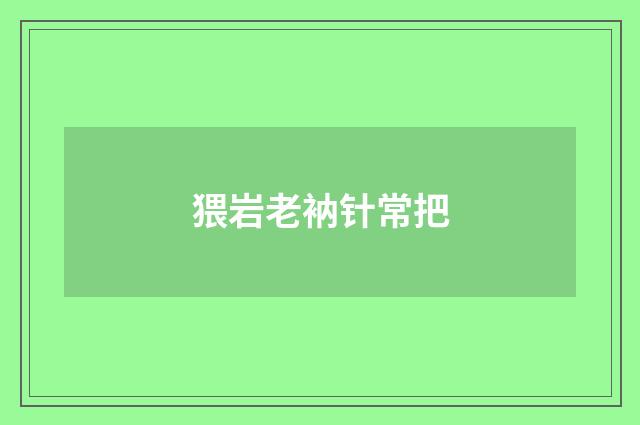 猥岩老衲针常把