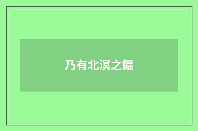 乃有北溟之鲲