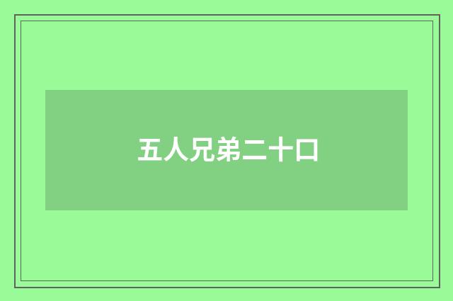 五人兄弟二十口