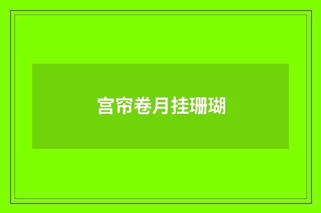 宫帘卷月挂珊瑚